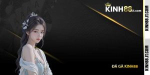 Đá Gà Kinh88 - Sảnh Cá Cược Đá Gà Trực Tiếp Uy Tín 2025