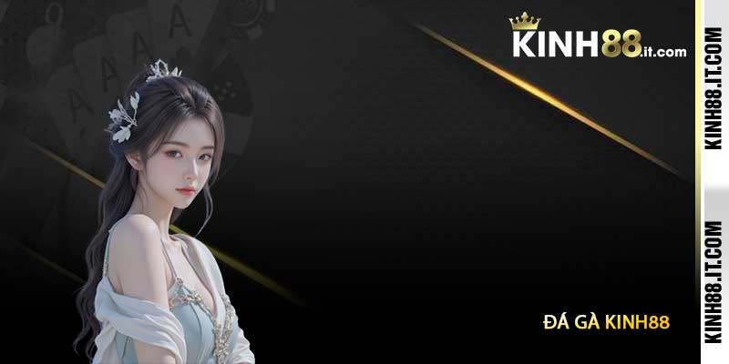 Đá Gà Kinh88 - Sảnh Cá Cược Đá Gà Trực Tiếp Uy Tín 2025